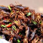 Cockroaches all over some food.